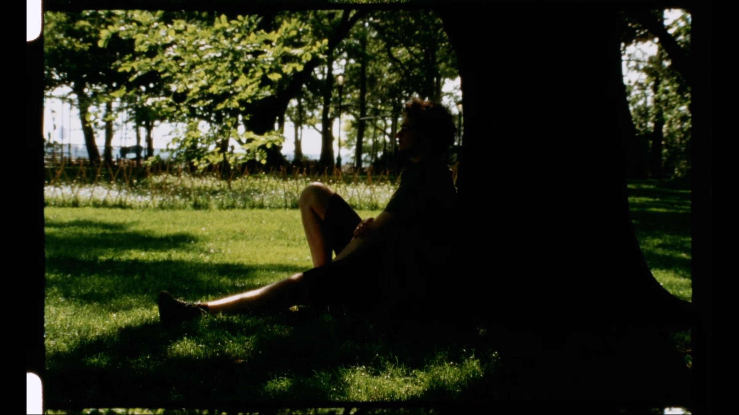 In Everything Green — still 17 of 31